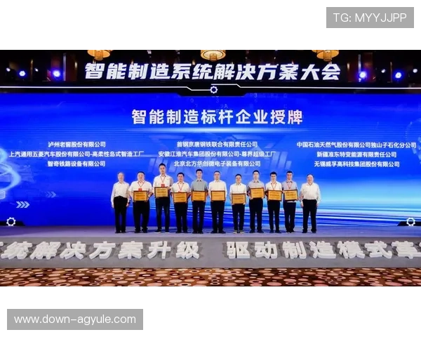 AG恒峰官网安全保障措施全面升级,确保玩家资金与个人信息安全无忧 AG恒峰官网安全保障措施全面升级,确保玩家资金与个人信息安全无忧